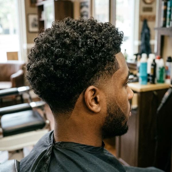 Low Taper Fade Curly Hair